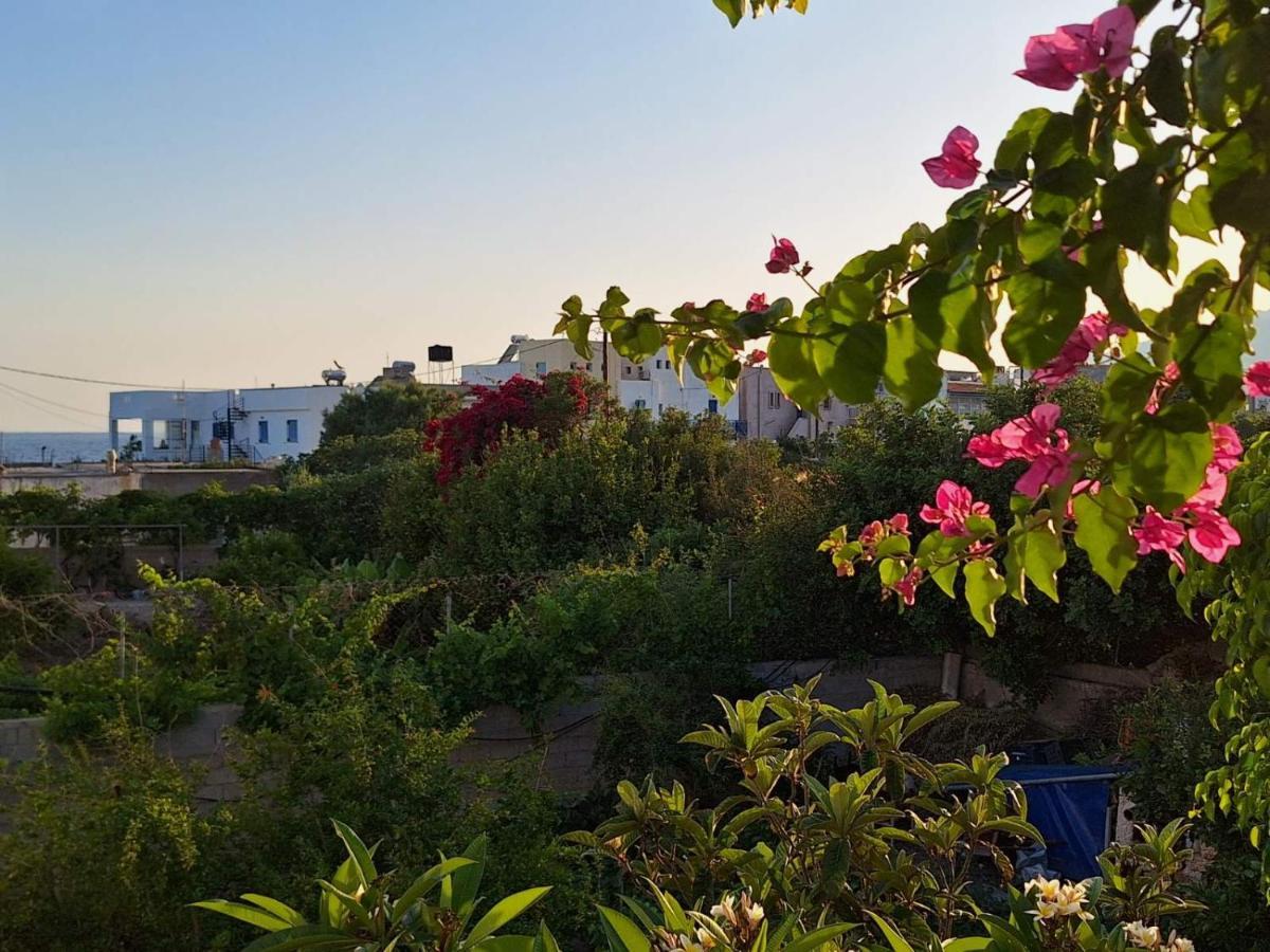 Βig Βlue Apartments Makrýgialos Exterior foto