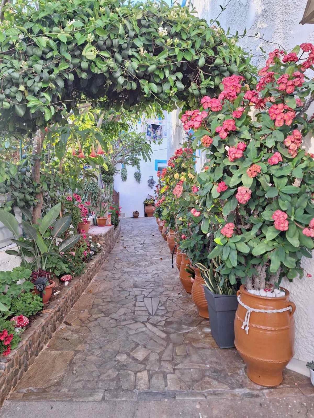 Βig Βlue Apartments Makrýgialos Exterior foto